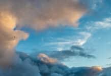 2/24/26: Overcast Day in Cannon County with Highs of 47.7, Cooling to 42.6 Tonight