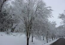 Better Business Bureau Encourages Businesses and Consumers to Prepare Ahead of This Weekend’s Snowstorm